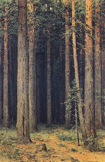 Ivan Shishkin Forest Reserve